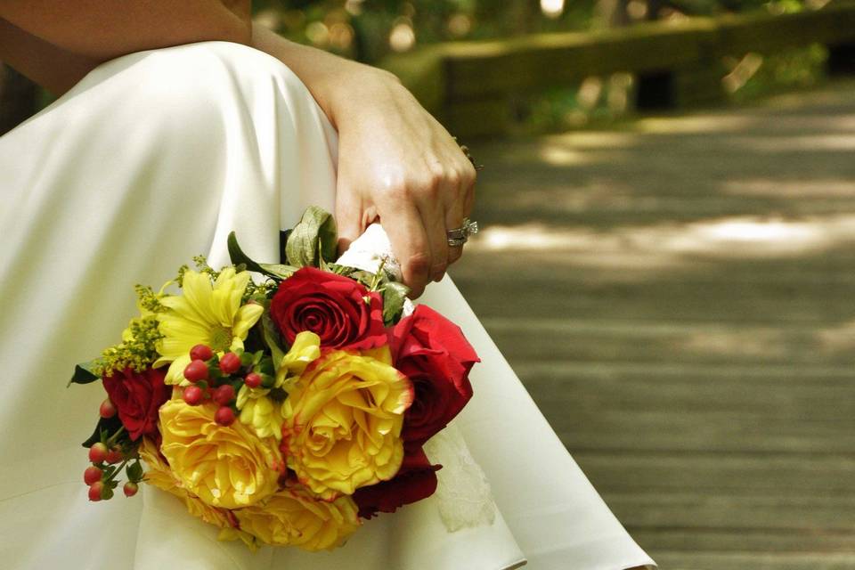 Teri Isenberg Photography