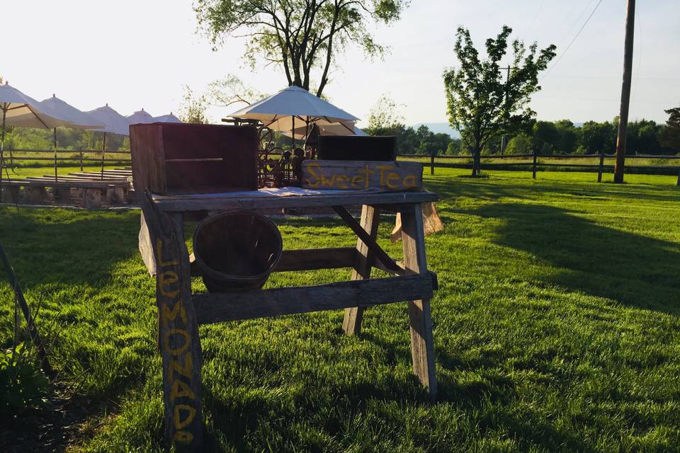 Outdoor Ceremony