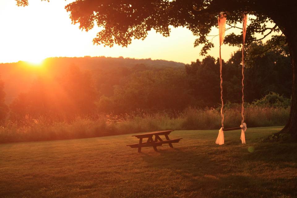 Outdoor Engagement Party