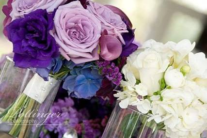 Pottinger Photography