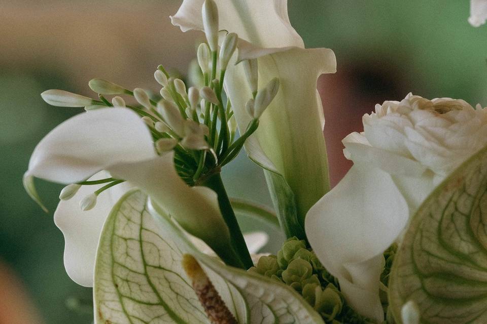 Carriage House Floral Design
