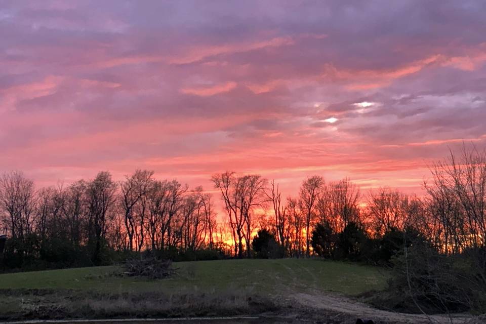 Sunset over the venue