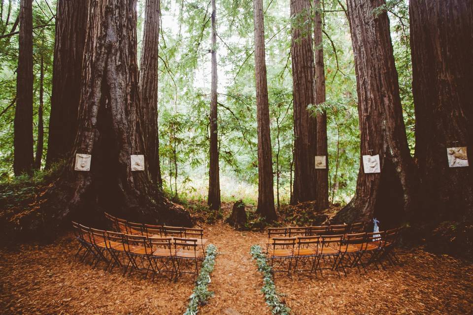 Redwood Ceremony