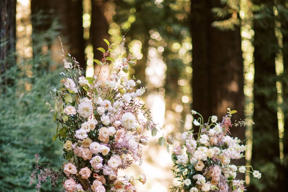 Waterfall Lodge - Nirav Patel