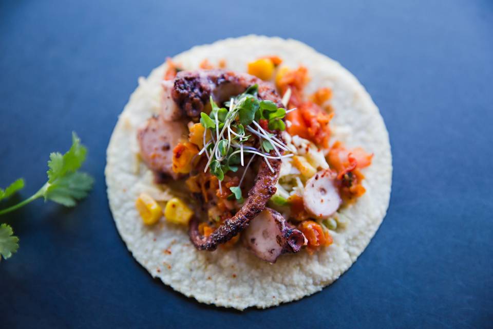 Octopus Taco