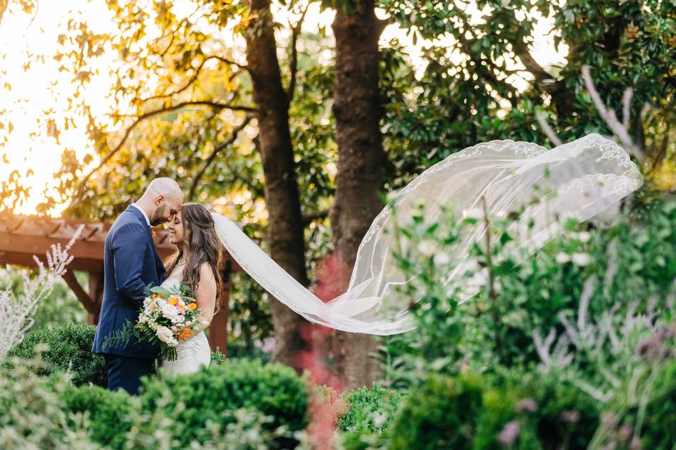 Bride and groom portrait