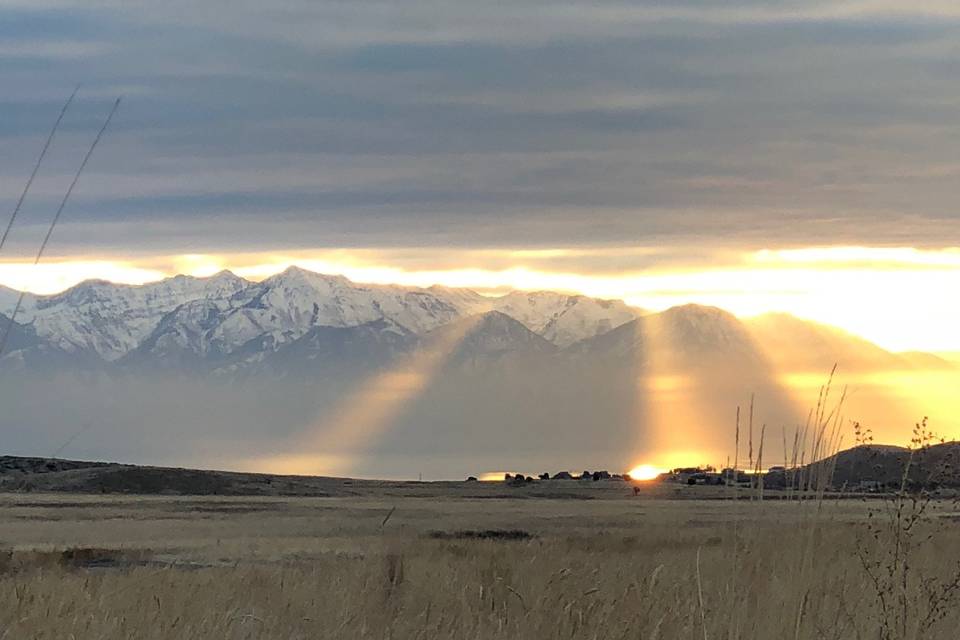 Fields of Wasatch Wing & Clay