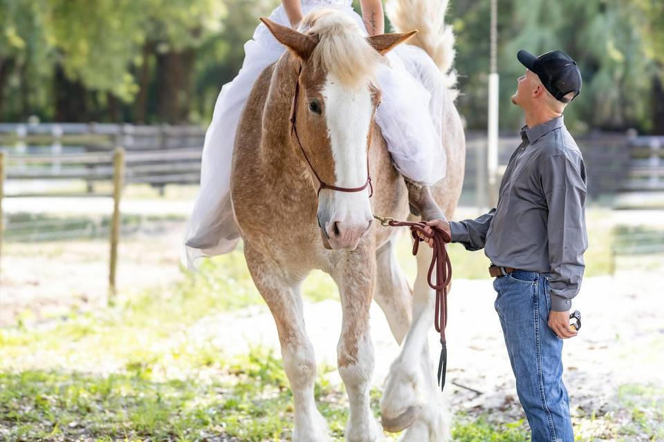 Bride on her horse