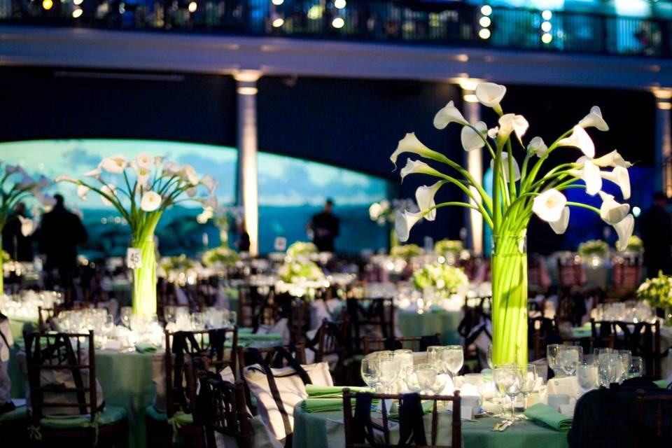 MagnaFlora Design | Events