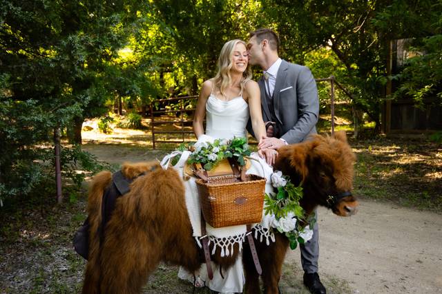 Bella Vista Wedding Planning
