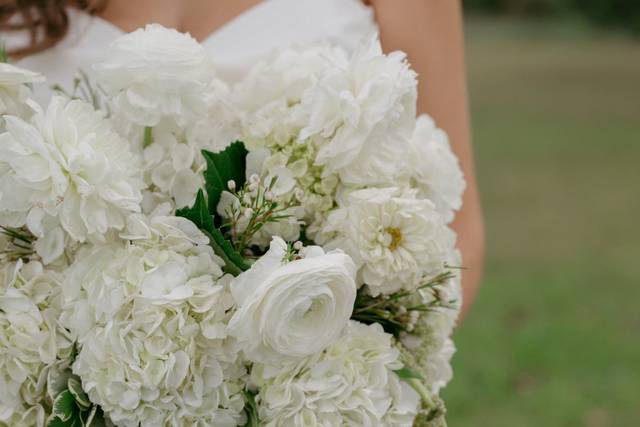 Bella Vista Wedding Planning