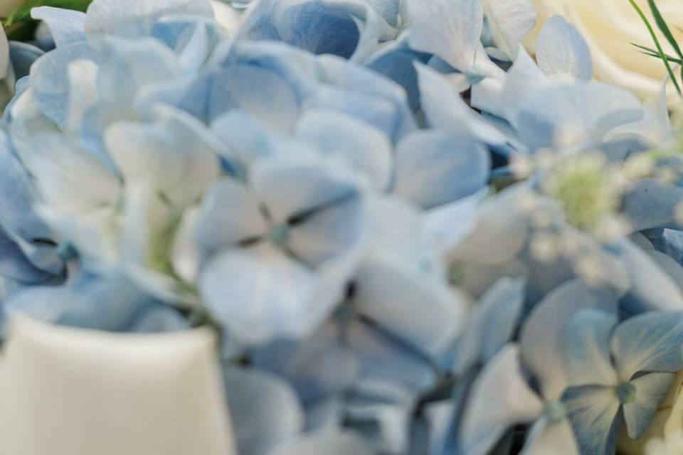 Bella Vista Wedding Planning