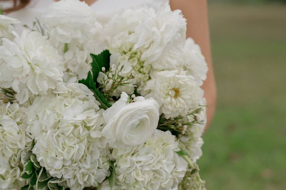 Bella Vista Wedding Planning