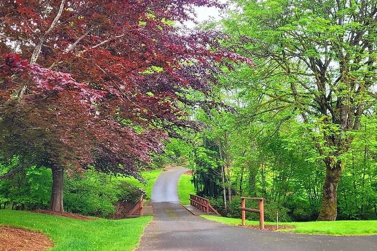 Beautiful driveway