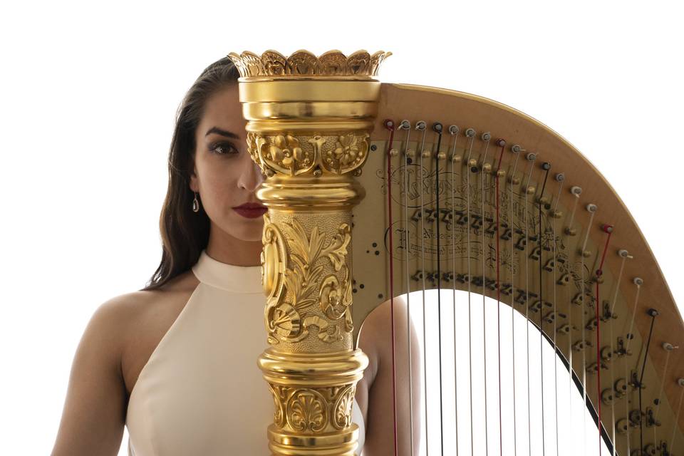 San Francisco's Luxury Harpist