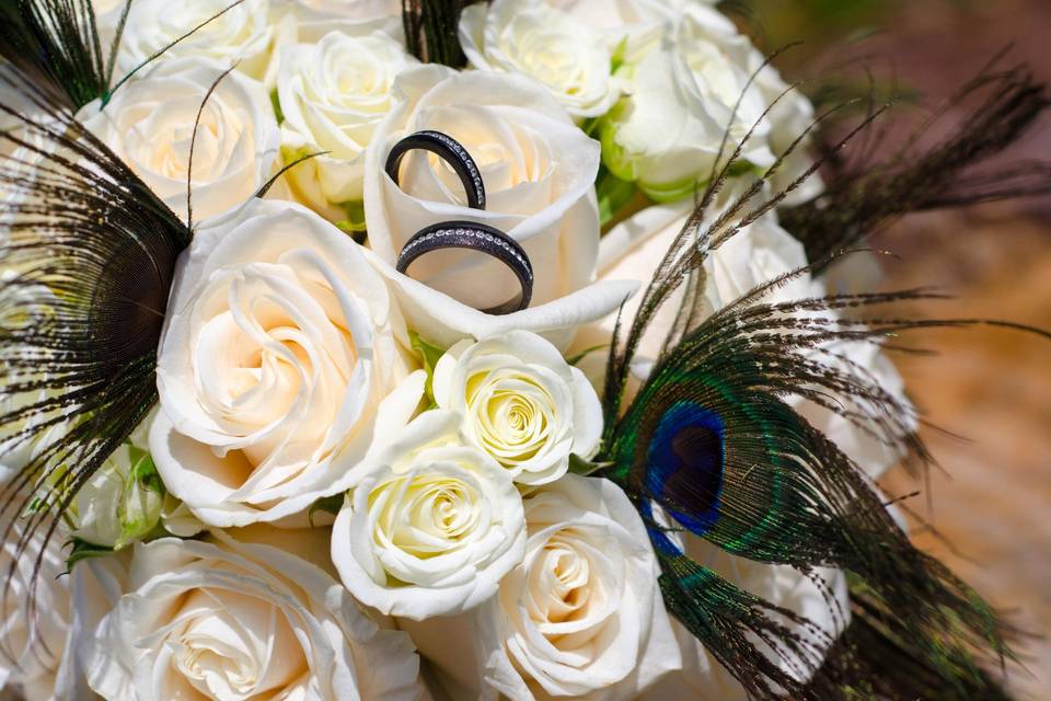 Jennifer Lepine Photography