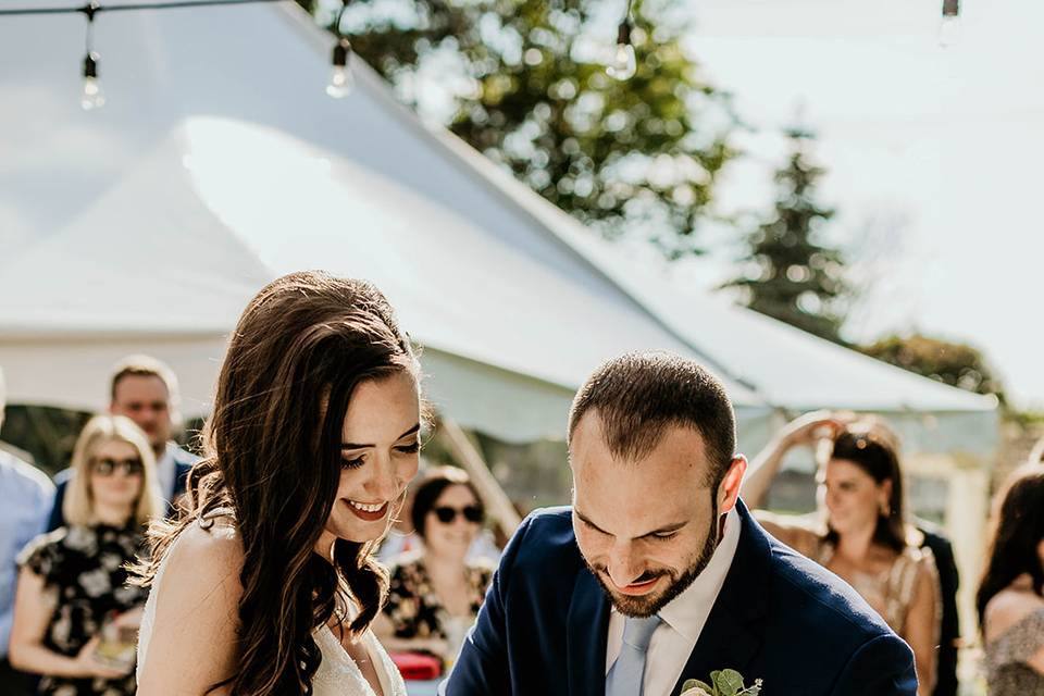 Cake Cutting