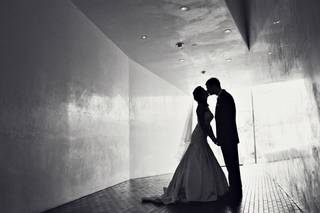 Viveria Photography