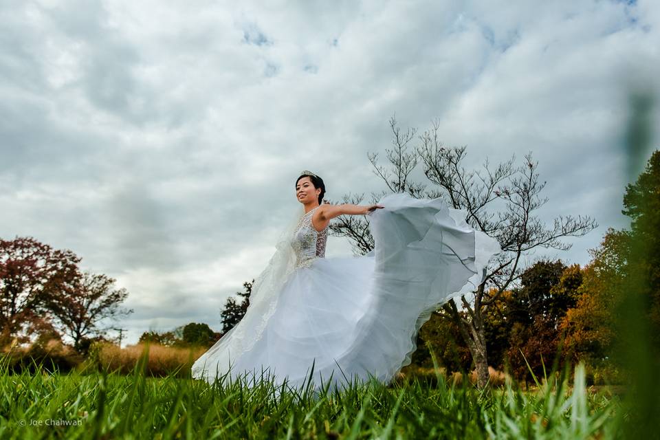 Bride, Dress
