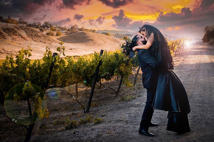 Vineyard Kiss, Temecula