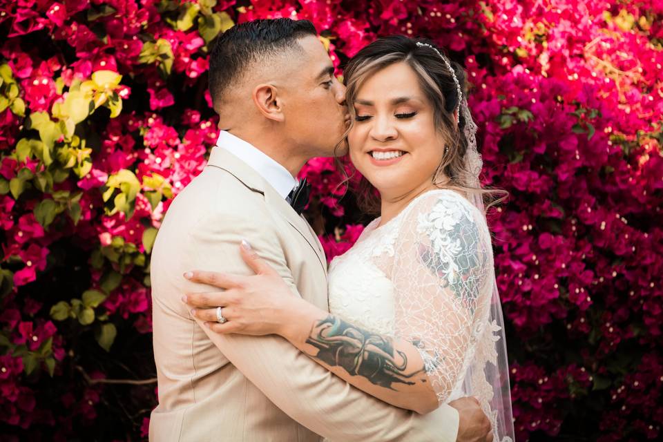 Bougainvillea Kisses