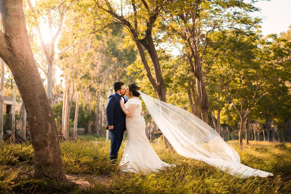 Wedding in Black, Temecula