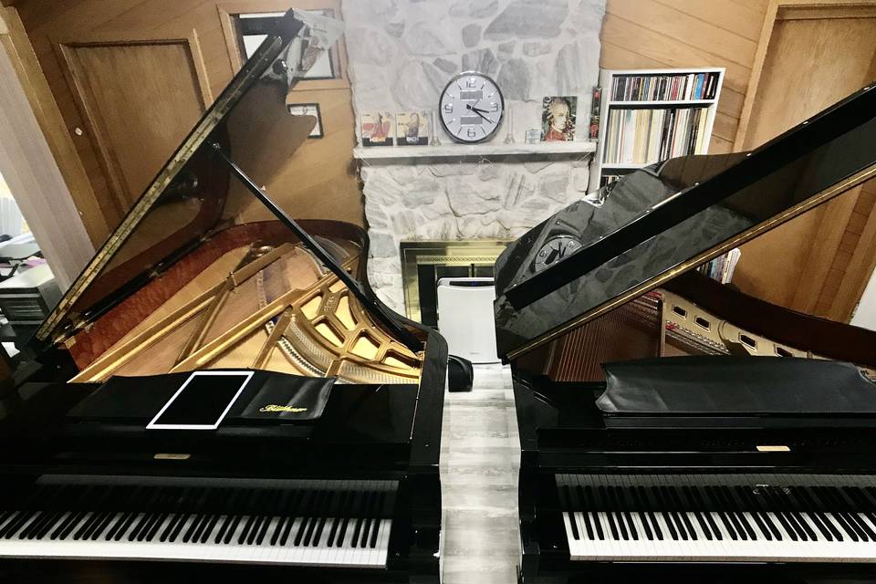 Dual-Piano Entertainment