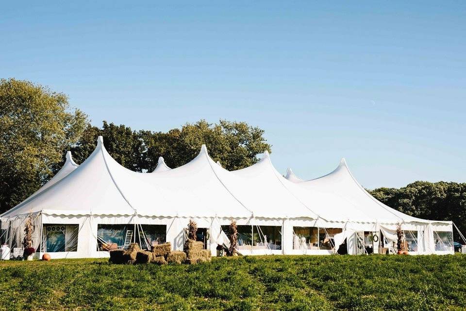 80x120 white century tent