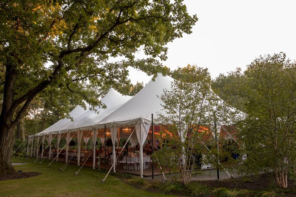 60x100 wedding tent