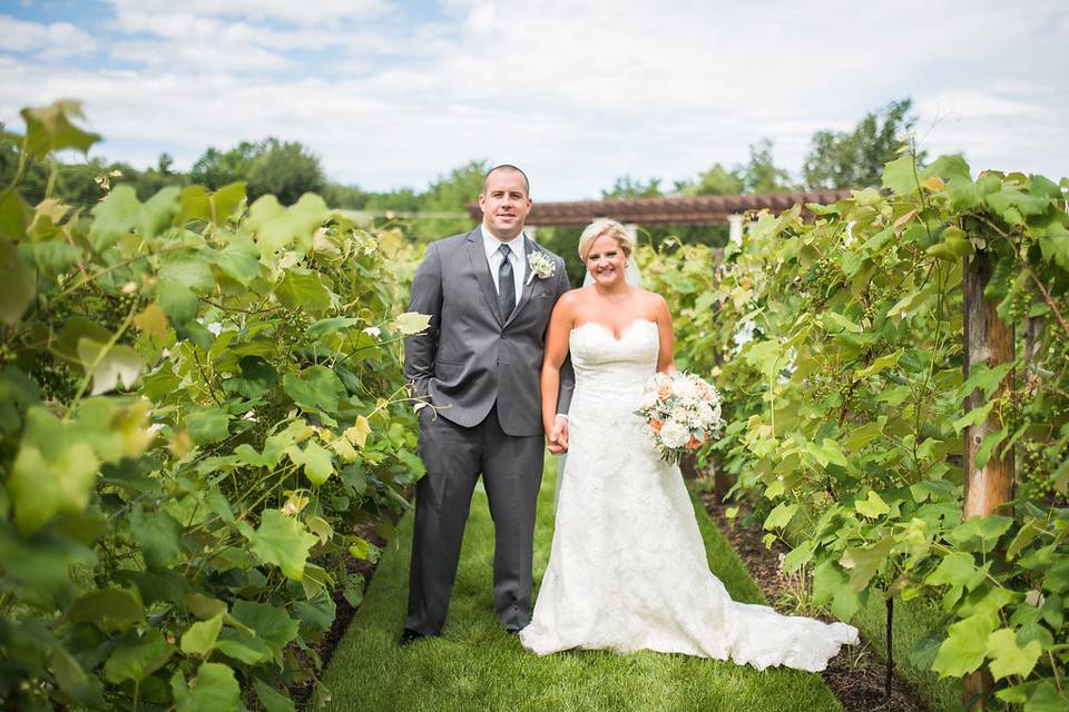 July vineyard for emily + bob!