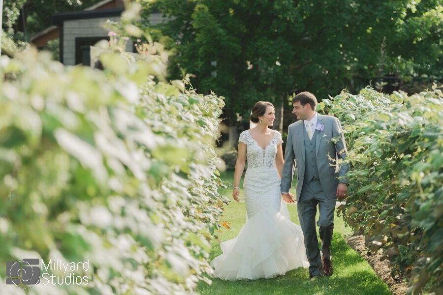 Couple walking through the vines