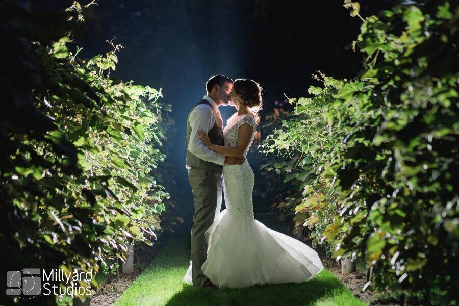 Couple kissing in the vines