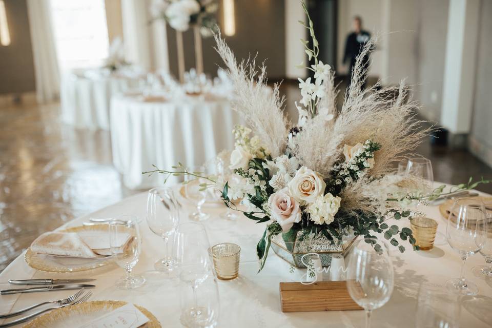 Telluride Mountain Wedding