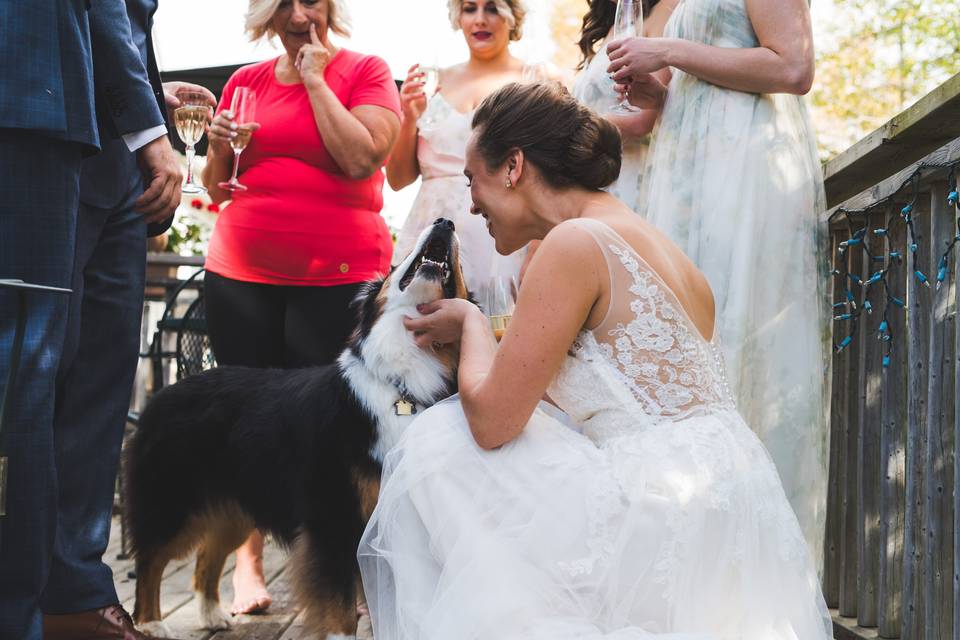 Bride with a dog