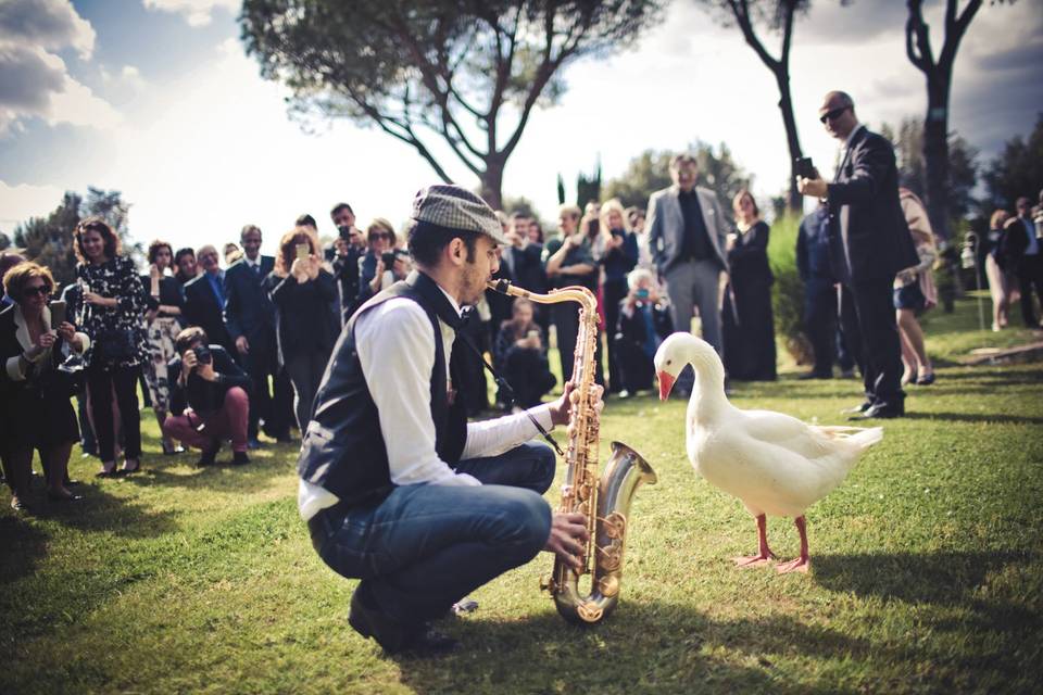 Duck and Saxophone