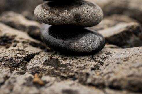 Photography by Lynn Marie