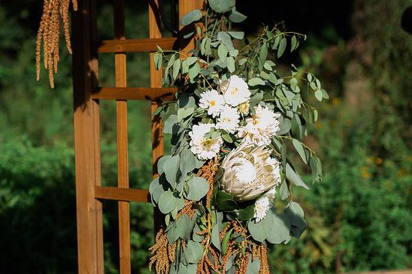 Late summer arbor