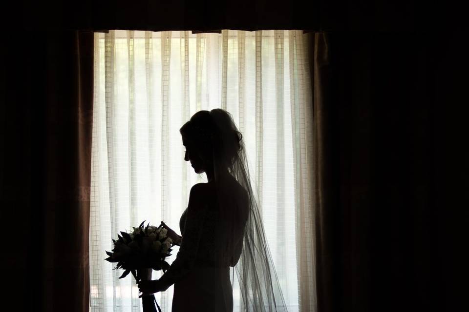 Paulo Basseto Photography