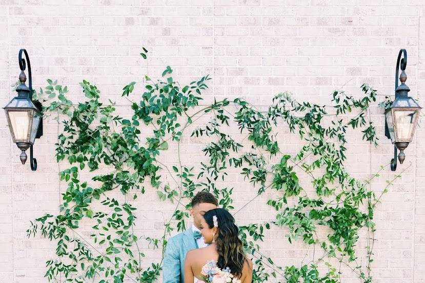 Climbing jasmine wall