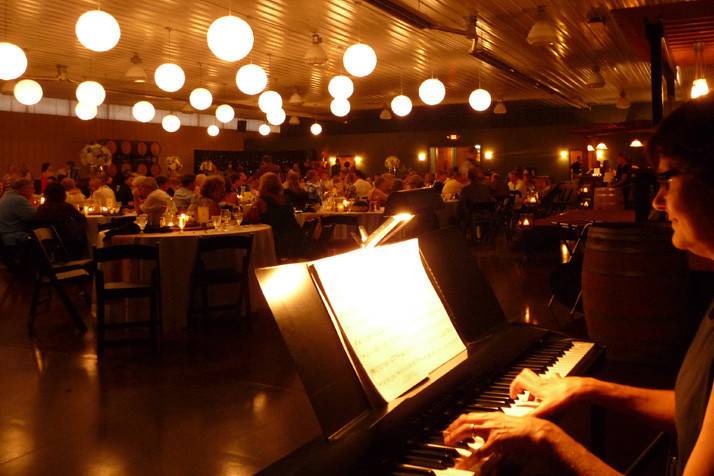 Sharon Planer performing wedding dinner music at Carlos Creek Winery.