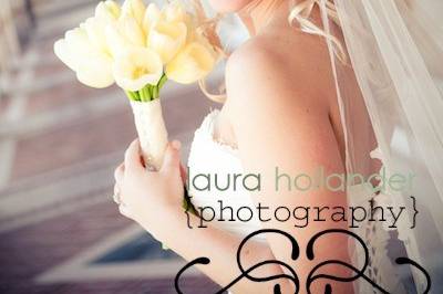 Laura Hollander Photography