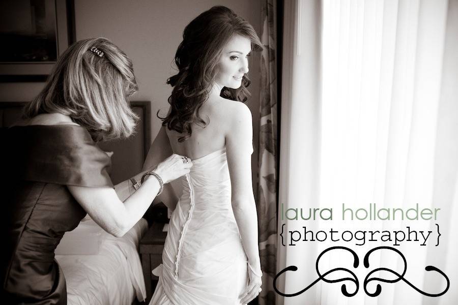 Laura Hollander Photography