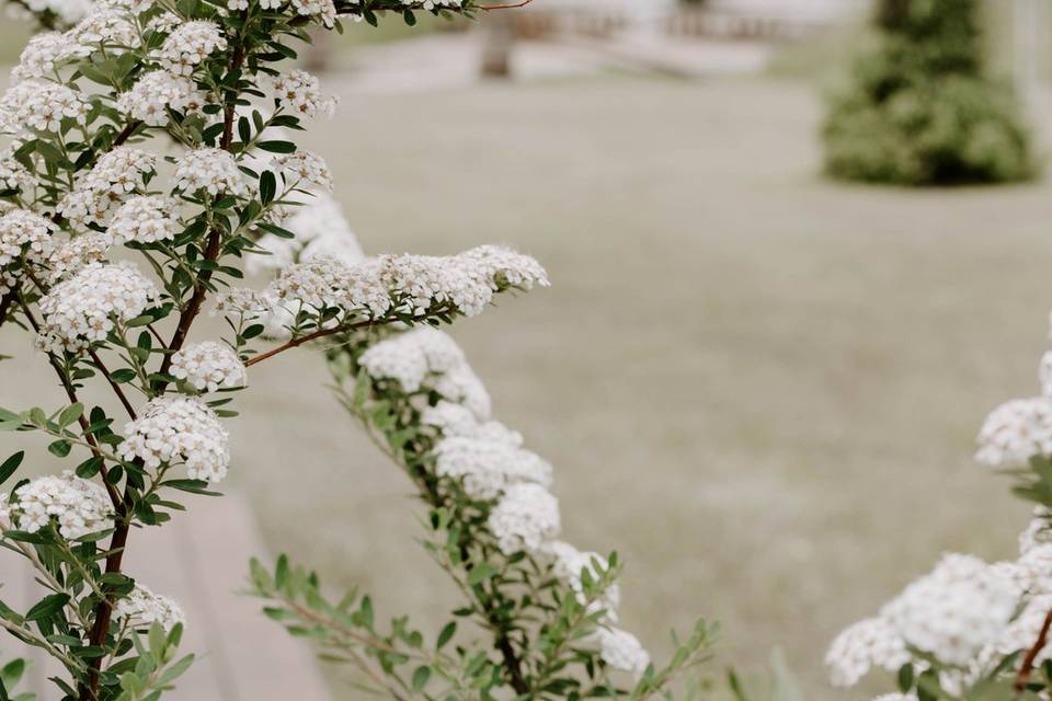 Ceremony Site