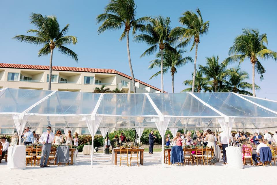 Clear Top Tent