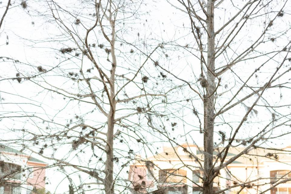 Winter Bridal Party