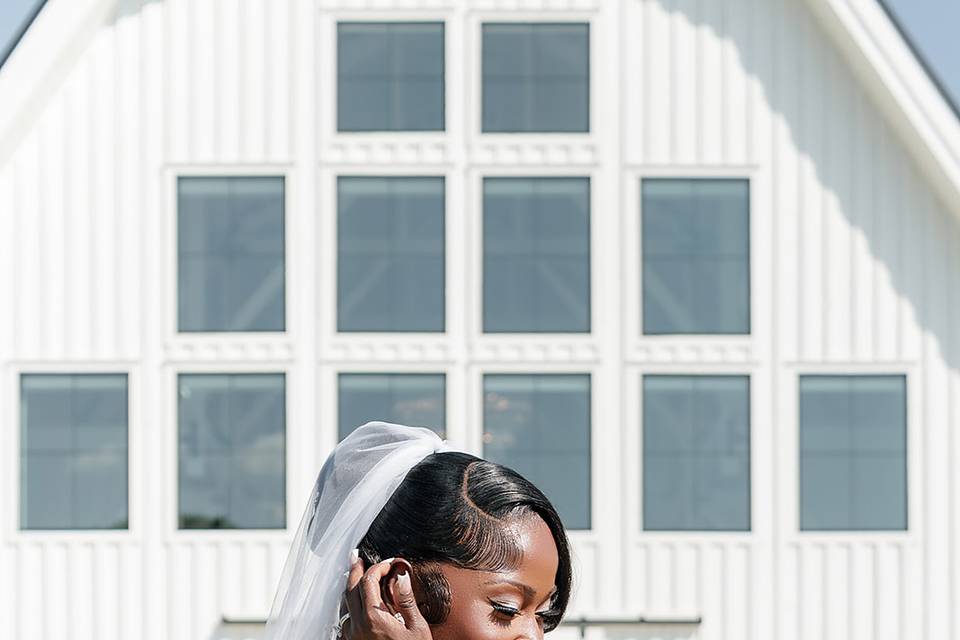 Bridal Portraits