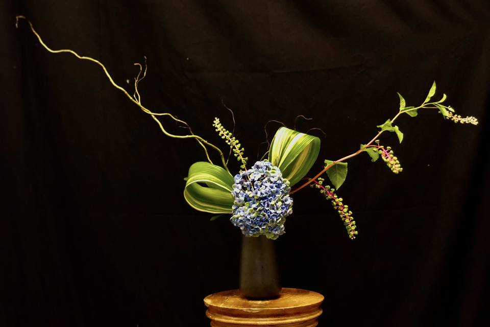 Ikebana with hydrangea