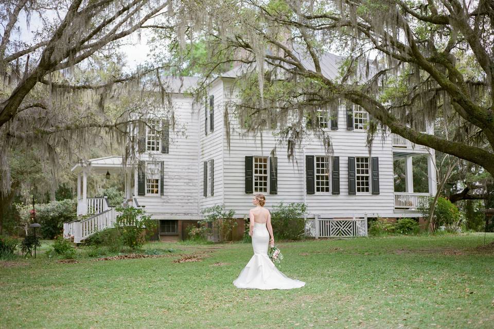 Under the oak trees