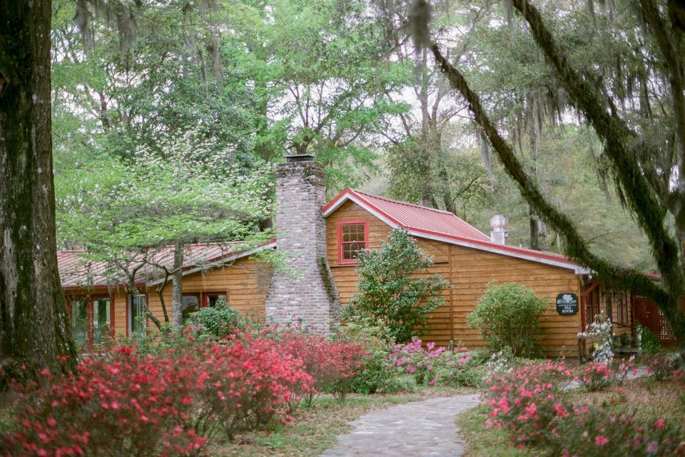 Azaleas and Spanish Moss