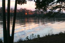 Hopsewee Plantation